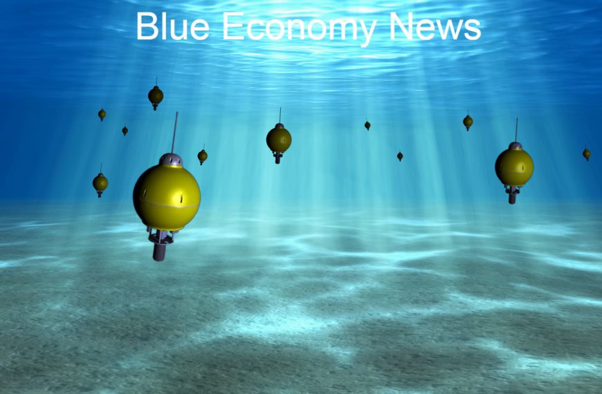 Ocean Enterprise Sector Growth